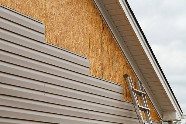 Professional Siding Inspection technician working in Greenville, IL